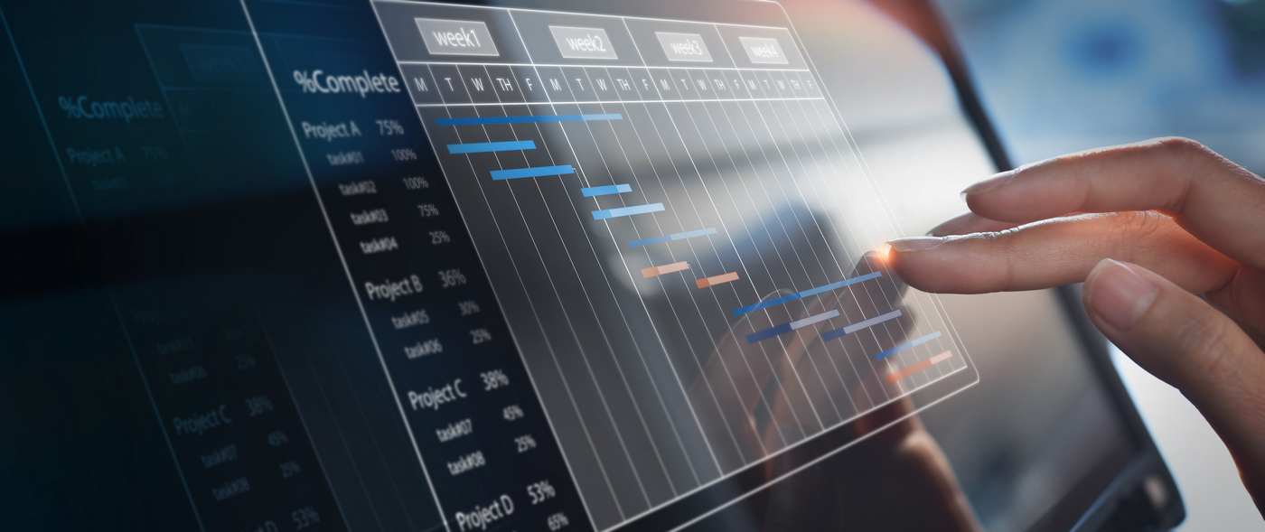 Egyedi optimalizációs algoritmusok